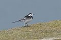 02 12 15_8782_edited-1